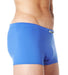 SexyMenUnderwear.com XS Gregg Homme SwimWear Ocean Swim Boxer Quick Dry Swimsuit Royal 100355 219