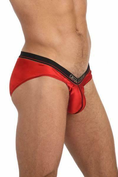 SexyMenUnderwear.com SMALL GREGG HOMME Brief Climax Silk Maximizer Pouch Red 87465