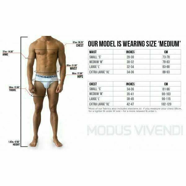 SexyMenUnderwear.com Swimwear "2020 Fruity Modus Vivendi" Swim-Brief Low Cut Strawberry FS1911 37