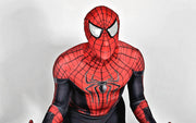 Singlet Bodysuit Spiderman Black Jumpsuit Delux Cosplay Costume 3101  1