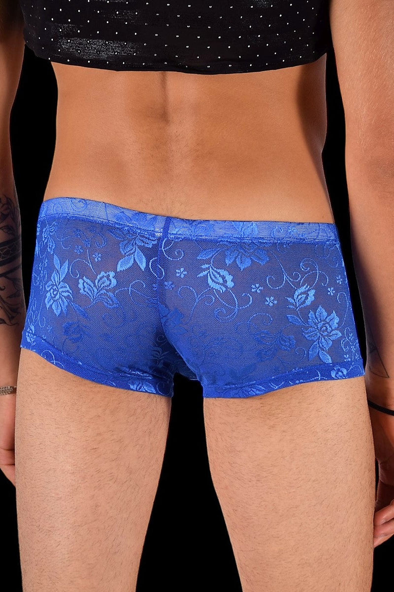 SMU Aristocrat Lace Sheer Mini boxer Royal 100705 H52