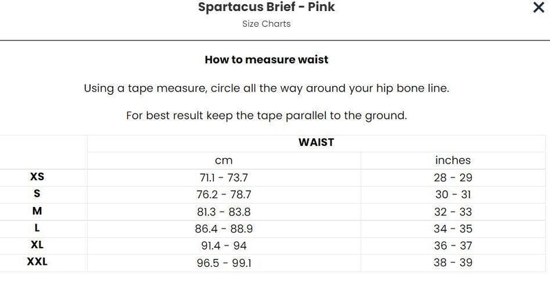 TEAMM8 Spartacus Sports Briefs Super Quick-Dry Pride Pink Brief 13
