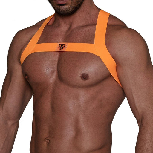 TOF PARIS H-Shaped Elastic Harness With Back-Zamac Buckle Neon Orange