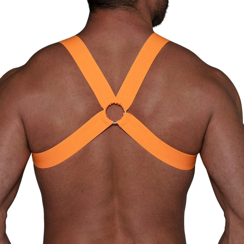 TOF PARIS H-Shaped Elastic Harness With Back-Zamac Buckle Neon Orange